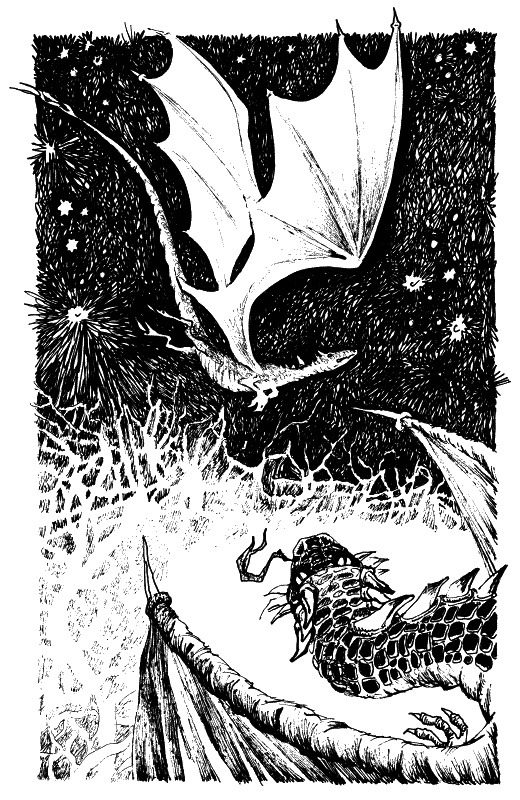 Иллюстрация к книге — Зачарованный лес [_14.jpg]