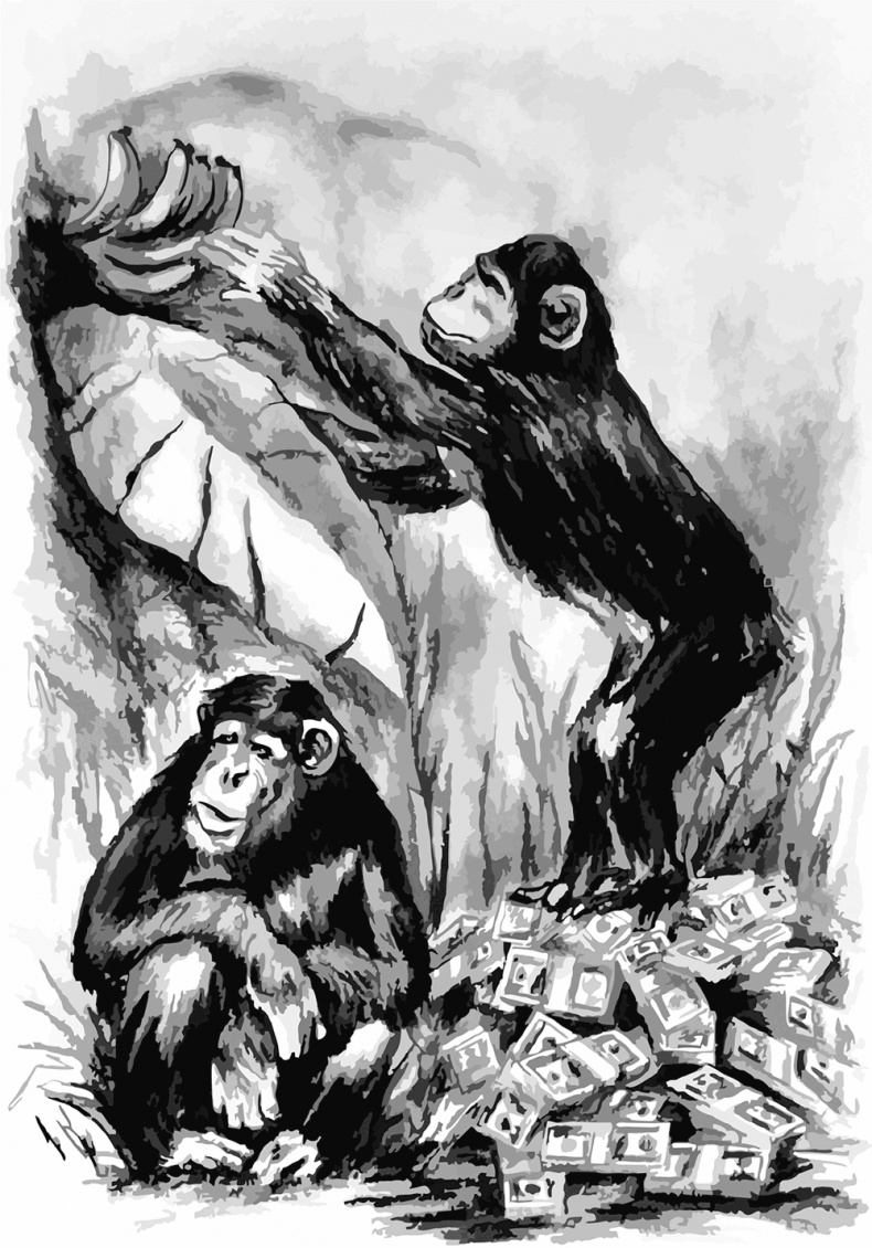 Иллюстрация к книге — Освобождение России. Программа политической партии [i_004.jpg]