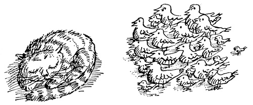 Иллюстрация к книге — Татуированный пес [i_011.jpg]