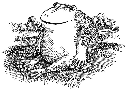 Иллюстрация к книге — Татуированный пес [i_016.jpg]