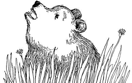 Иллюстрация к книге — Татуированный пес [i_026.jpg]