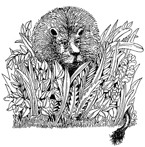 Иллюстрация к книге — Татуированный пес [i_042.jpg]