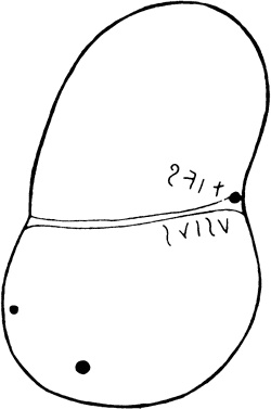 Иллюстрация к книге — Эт-руски. Загадка, которую не хотят разгадать [i_038.jpg]