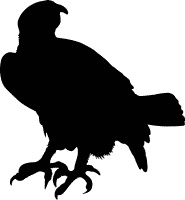 Иллюстрация к книге — Сюрпризы и опасности [i_008.jpg]