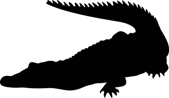 Иллюстрация к книге — Сюрпризы и опасности [i_012.jpg]