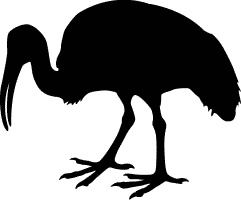 Иллюстрация к книге — Сюрпризы и опасности [i_013.jpg]