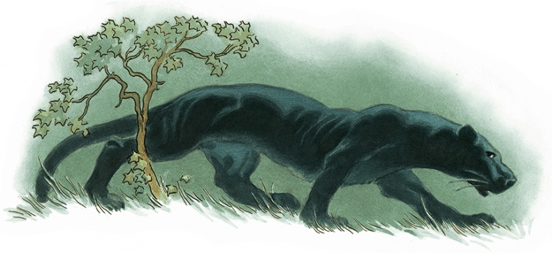 Иллюстрация к книге — Кошки Дремучего леса [i_014.jpg]