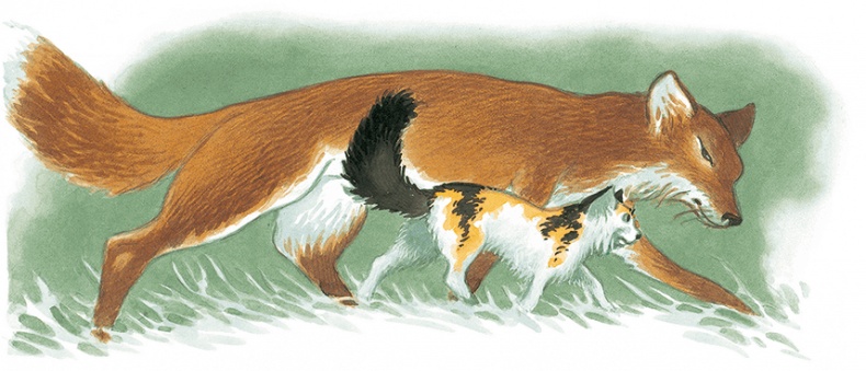 Иллюстрация к книге — Кошки Дремучего леса [i_020.jpg]