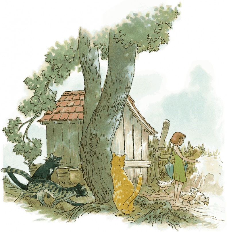 Иллюстрация к книге — Кошки Дремучего леса [i_031.jpg]