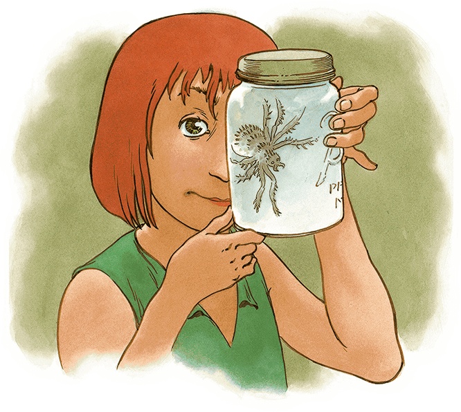 Иллюстрация к книге — Кошки Дремучего леса [i_051.jpg]