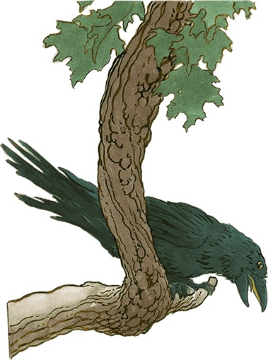 Иллюстрация к книге — Кошки Дремучего леса [i_071.jpg]