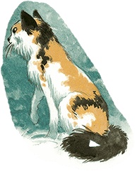 Иллюстрация к книге — Кошки Дремучего леса [i_073.jpg]