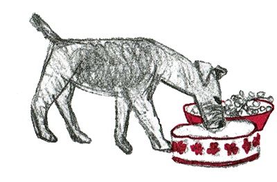 Иллюстрация к книге — Былое и думы собаки Диты [i_034.jpg]