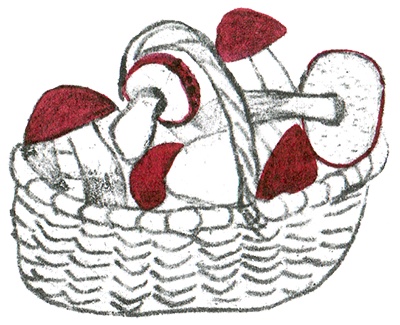 Иллюстрация к книге — Былое и думы собаки Диты [i_051.jpg]