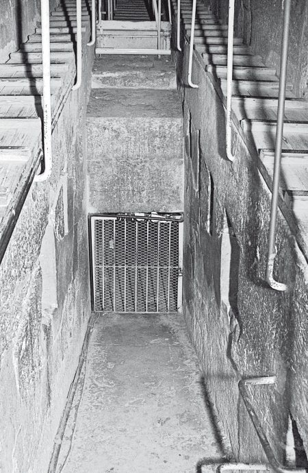 Иллюстрация к книге — Первое чудо света. Как и для чего были построены египетские пирамиды [i_020.jpg]