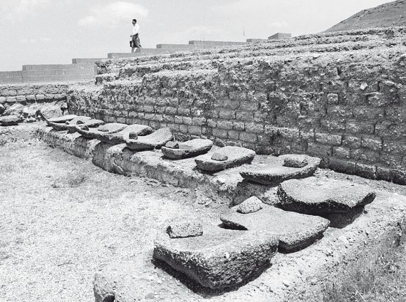 Иллюстрация к книге — Первое чудо света. Как и для чего были построены египетские пирамиды [i_115.jpg]