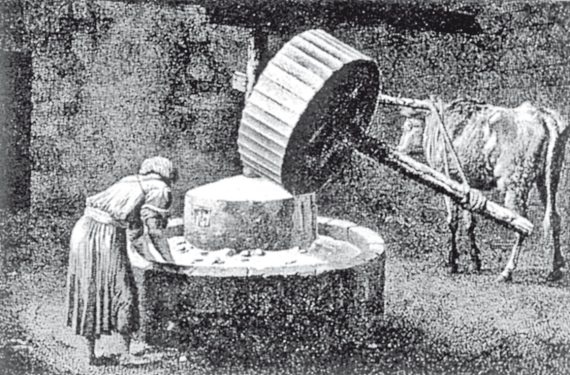 Иллюстрация к книге — Первое чудо света. Как и для чего были построены египетские пирамиды [i_116.jpg]