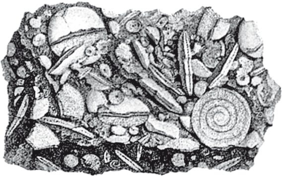 Иллюстрация к книге — Первое чудо света. Как и для чего были построены египетские пирамиды [i_117.jpg]