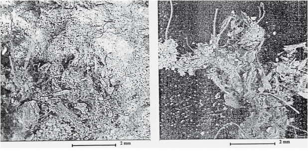 Иллюстрация к книге — Первое чудо света. Как и для чего были построены египетские пирамиды [i_161.jpg]