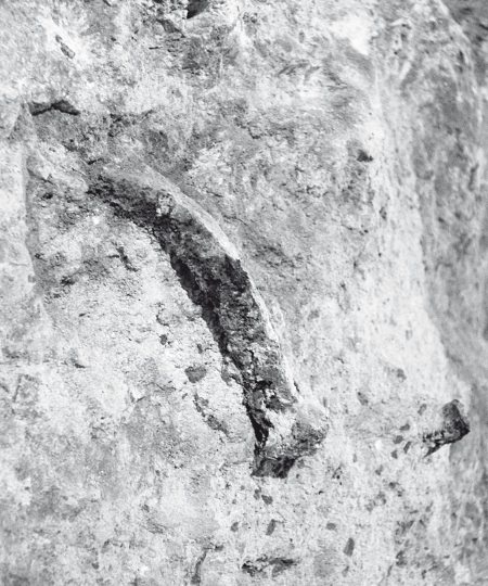 Иллюстрация к книге — Первое чудо света. Как и для чего были построены египетские пирамиды [i_169.jpg]