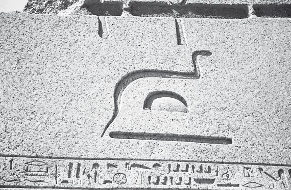 Иллюстрация к книге — Первое чудо света. Как и для чего были построены египетские пирамиды [i_176.jpg]