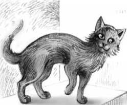 Иллюстрация к книге — Библиотека тетушки Марты [i_006.jpg]