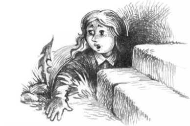 Иллюстрация к книге — Библиотека тетушки Марты [i_012.jpg]