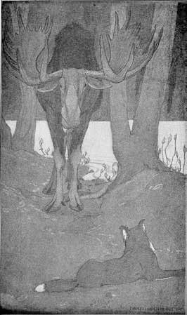 Иллюстрация к книге — Белый Клык. Зов предков [i_008.jpg]