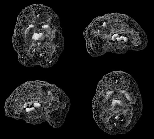 Иллюстрация к книге — Омни диета [i_013.jpg]