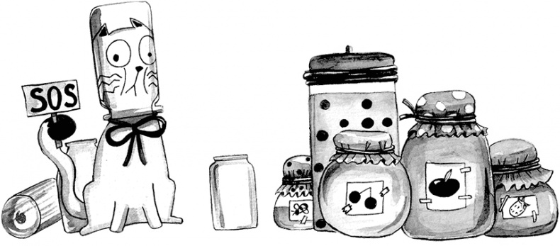 Иллюстрация к книге — Счастливая хозяйка: как все успевать? Уникальные методики, которые приведут твою жизнь в порядок [i_005.jpg]