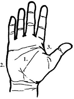 Иллюстрация к книге — Магнит любви. Как притянуть в свою жизнь любовь, гармонию и счастье [i_007.jpg]