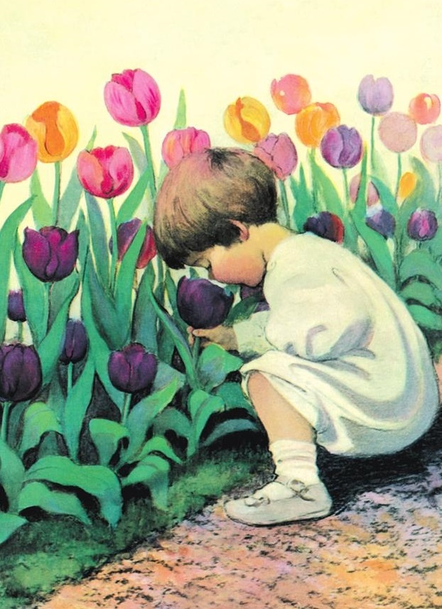 Иллюстрация к книге — Секреты гармоничного развития [imgd10ddf4a6fc842ad8ba233e94ccc14ce.jpg]