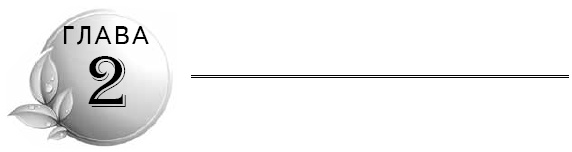 Иллюстрация к книге — Очищение кишечника [i_002.jpg]