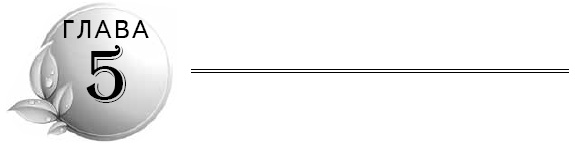 Иллюстрация к книге — Очищение кишечника [i_005.jpg]