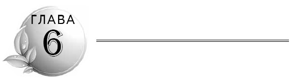 Иллюстрация к книге — Очищение кишечника [i_006.jpg]