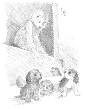 Иллюстрация к книге — Щенок Тимми, или Я иду искать! [i_010.jpg]