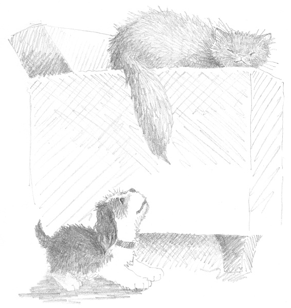 Иллюстрация к книге — Щенок Тимми, или Я иду искать! [i_029.jpg]