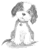 Иллюстрация к книге — Щенок Тимми, или Я иду искать! [i_036.jpg]