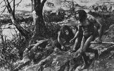 Иллюстрация к книге — Разные человечества. Эволюция. Разум. Антропология [_21.jpg]