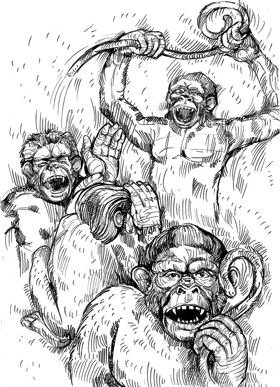 Иллюстрация к книге — Разные человечества. Эволюция. Разум. Антропология [_22.jpg]