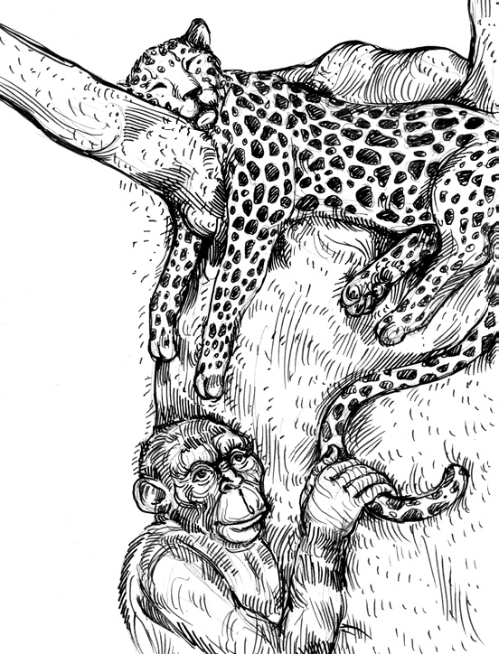 Иллюстрация к книге — Разные человечества. Эволюция. Разум. Антропология [_28.jpg]