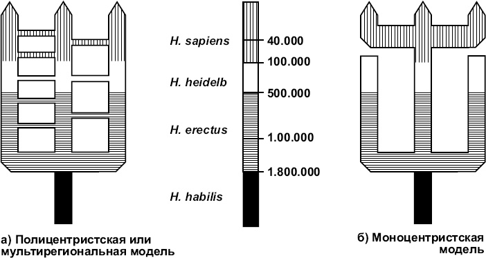 Иллюстрация к книге — Разные человечества. Эволюция. Разум. Антропология [_3.jpg]