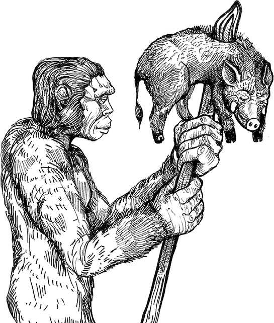 Иллюстрация к книге — Разные человечества. Эволюция. Разум. Антропология [_34.jpg]