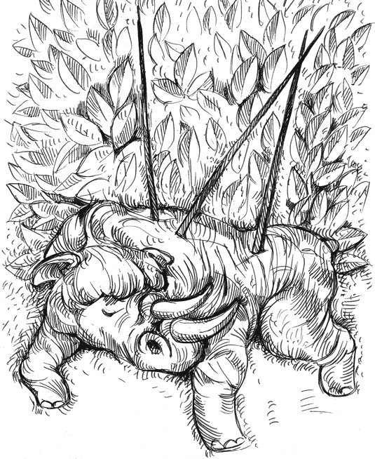 Иллюстрация к книге — Разные человечества. Эволюция. Разум. Антропология [_35.jpg]