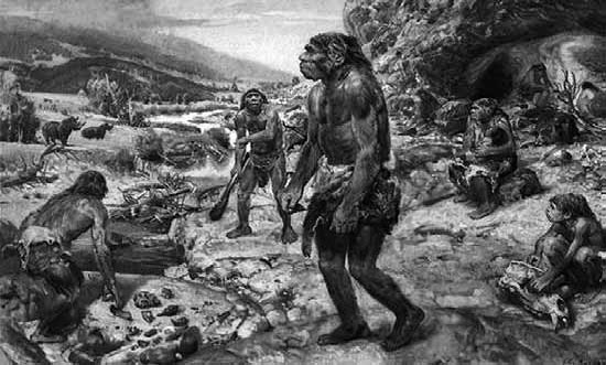 Иллюстрация к книге — Разные человечества. Эволюция. Разум. Антропология [_40.jpg]