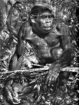 Иллюстрация к книге — Разные человечества. Эволюция. Разум. Антропология [_47.jpg]