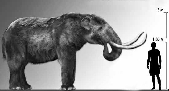 Иллюстрация к книге — Разные человечества. Эволюция. Разум. Антропология [_49.jpg]