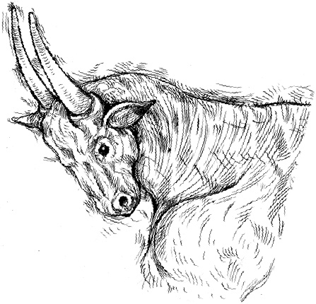 Иллюстрация к книге — Разные человечества. Эволюция. Разум. Антропология [_57.jpg]