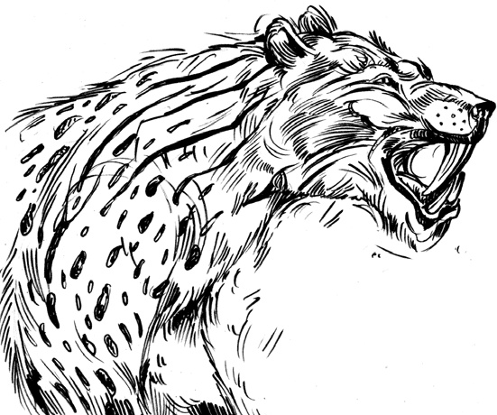 Иллюстрация к книге — Разные человечества. Эволюция. Разум. Антропология [_58.jpg]