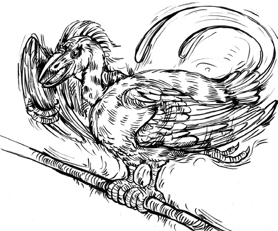 Иллюстрация к книге — Разные человечества. Эволюция. Разум. Антропология [_60.jpg]